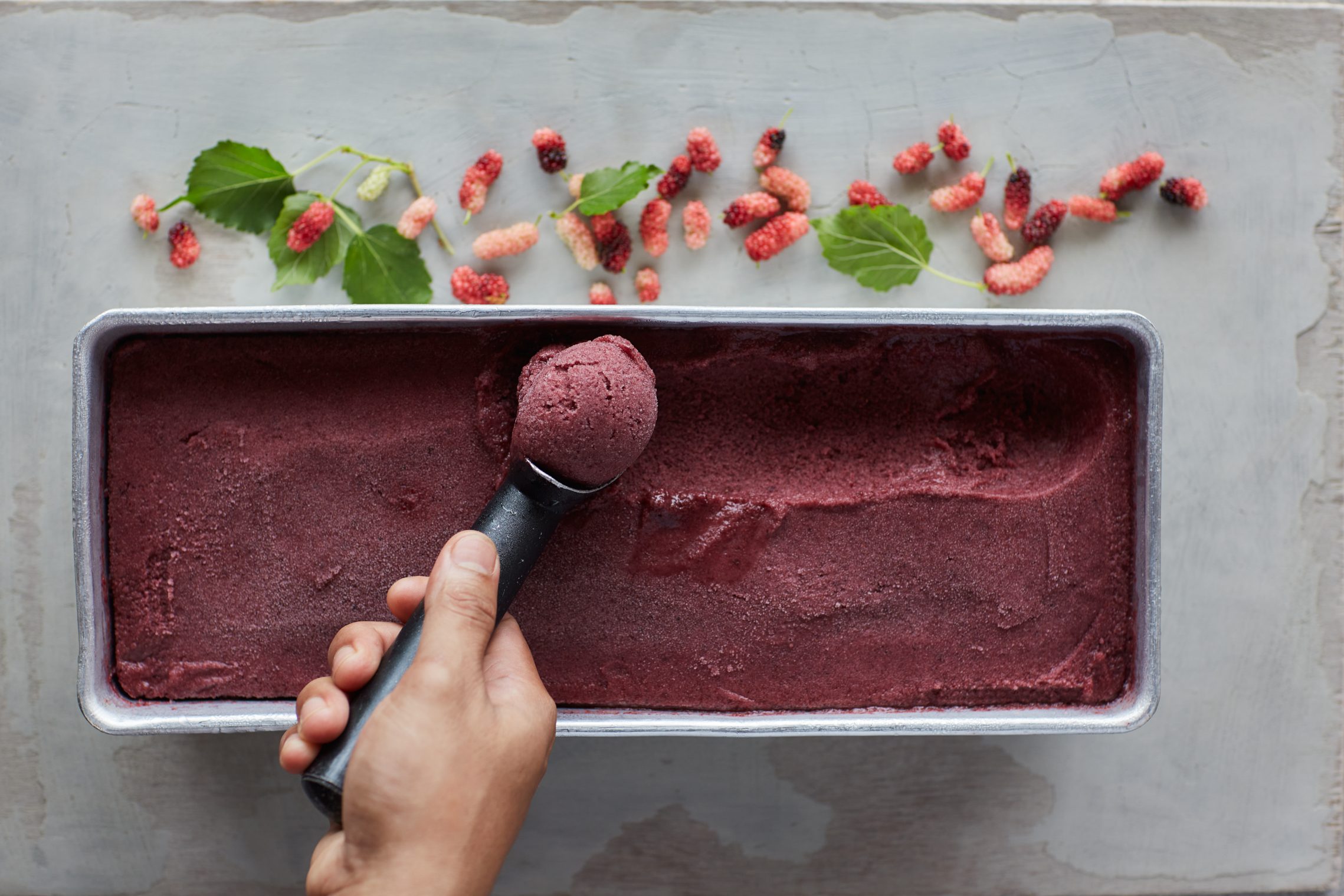 mulberry sorbet