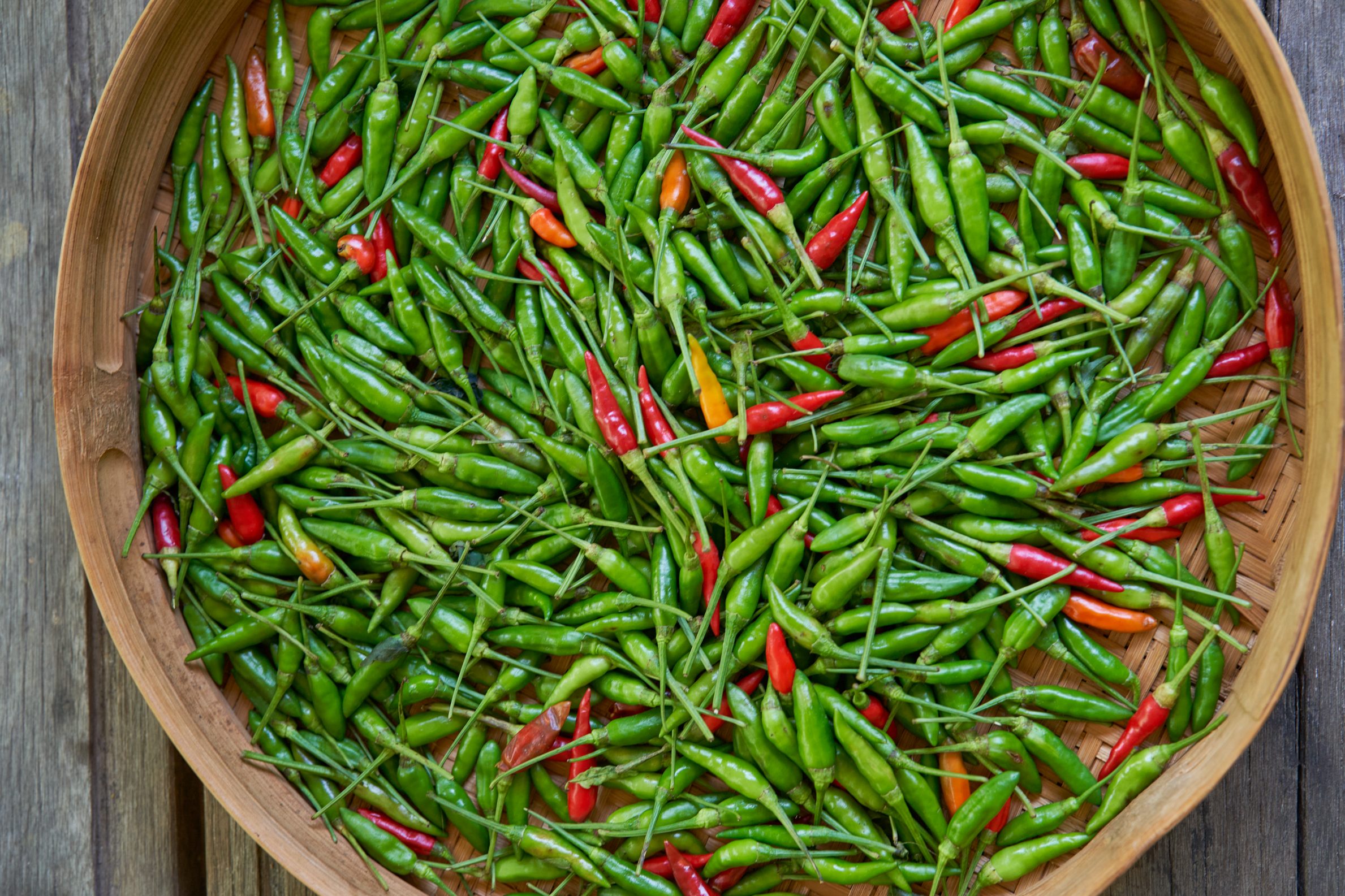 Chilis from Nikoi farm